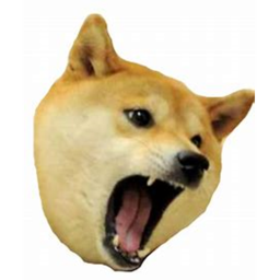 DogeBlox