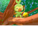For Everyone/Pokemon/ cwc fans
