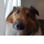 PerfectPeachesYT