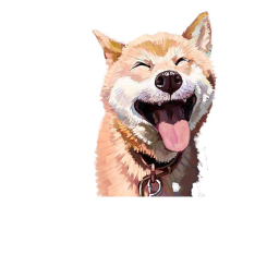 Doge haters be like whaaa