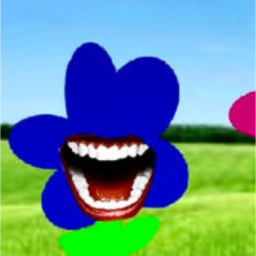 🌺