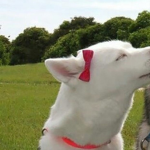 Fofinhos :)