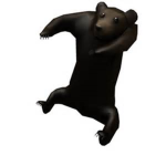 ShoulderBear Squad