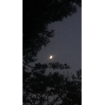 Cute Clothing For Men And Women