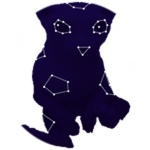 Space Bingus