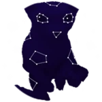 Space Bingus