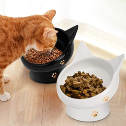 GET THE CAT FOOD OBBY!