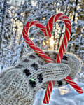 Christmas candy cane group