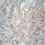The Rice Worshippers