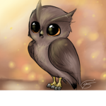 The Owl Squad :]
