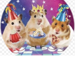Hamster People Group