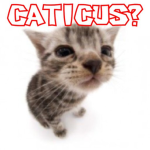 Caticus?