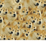 UnskilledS