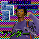 Vloners WONDER