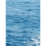 ocean vibes cute