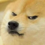Doge army elite forces