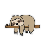 They sloths