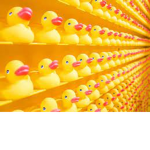 The Duck army of the people