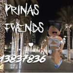 prinas fwends