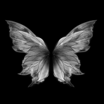 Fallen Angelz'