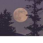 -*moon*-