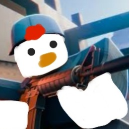 CHICKEN ARENA