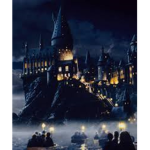 ~!Hogwarts!~
