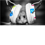 ♫~~Music Lovers~~♫