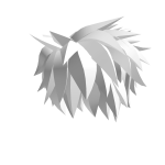 hair