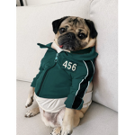 Roblox squid pug love