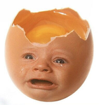 Big egg fr