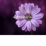 ~Irenic~