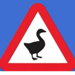 Duck,s United