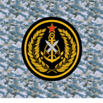 Light Combined Arms Battalion, 3rd Marine Brigade