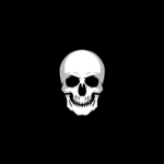 .BLACK SKULL.