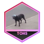 Game Badge Thumbnail