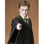 Hogwarts/Harry Potter Fans