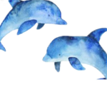 Savannah’s Dancing Dolphins