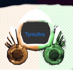 Tyni’s Fan club