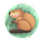 Beaver Game Stuff