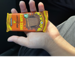 FNAFSTER