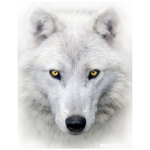 The Original Lone Wolf Legion