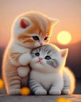 cat club fun d