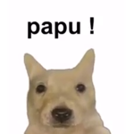 the papu testing