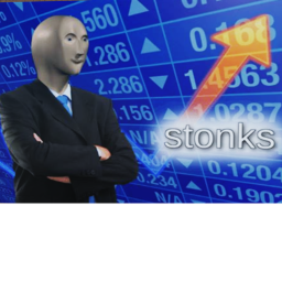 S T O N K S