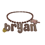 bryan 3.0