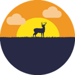 ArayStudios
