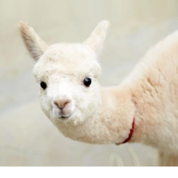 타워(엄청쉬움)