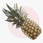 Pineapple aesthetics clothing