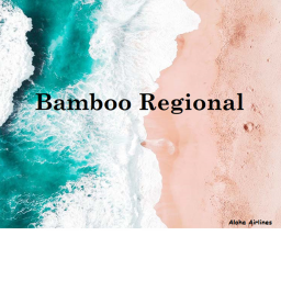 Bamboo Regional Airport